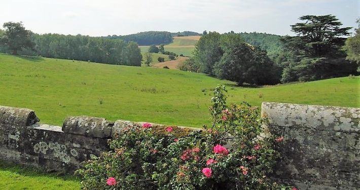 Herefordshire park view