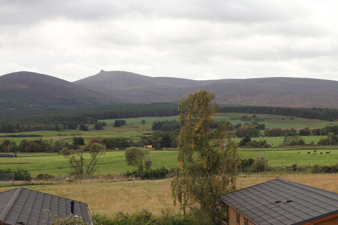Park Bungalows for sale Aberdeenshire, Scotland