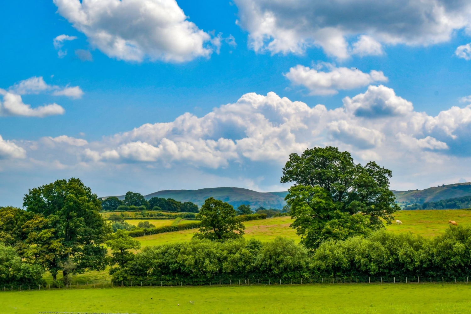 Park homes for sale in Builth Wells Visit Caerwnon Park