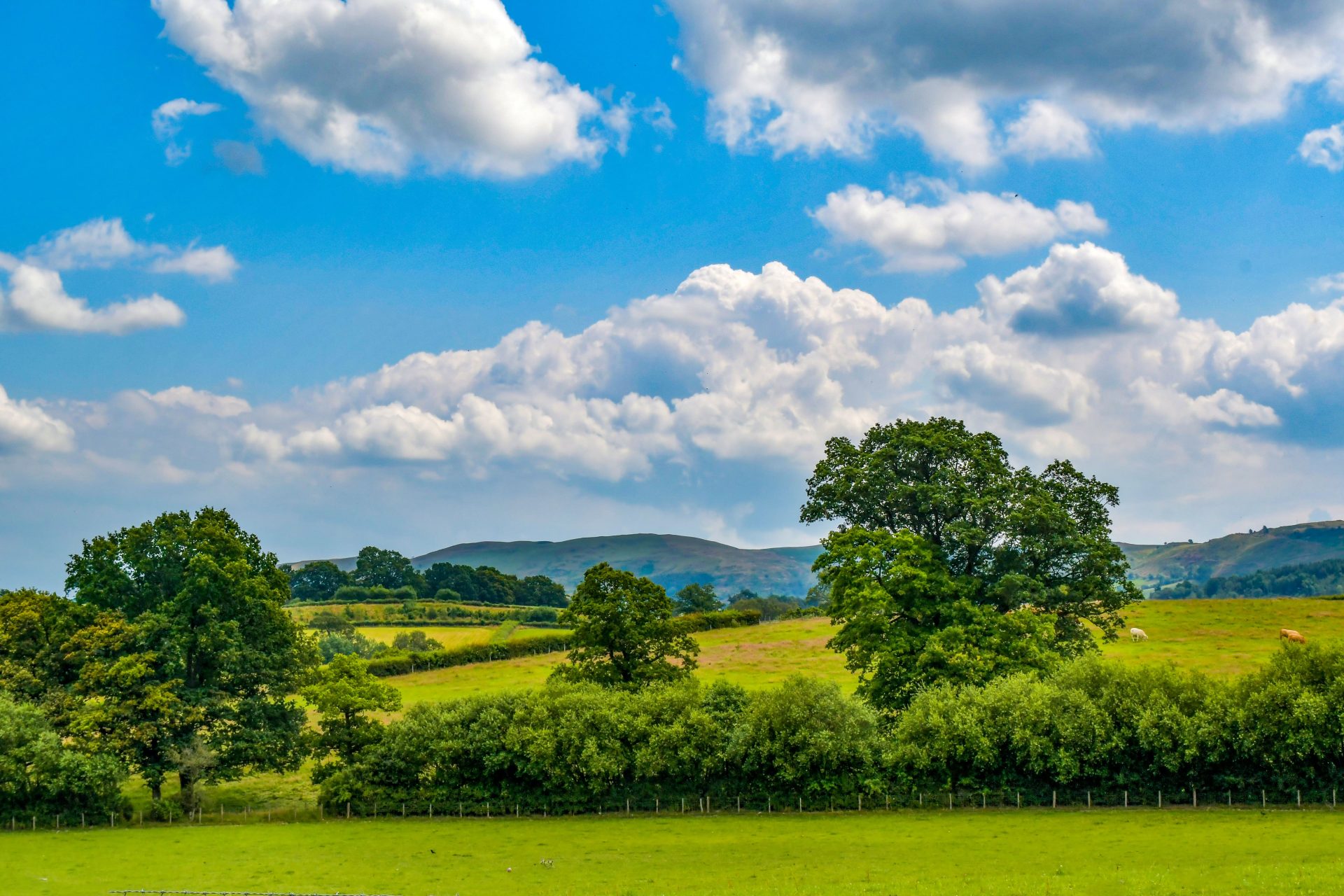 Park homes for sale in Builth Wells Visit Caerwnon Park