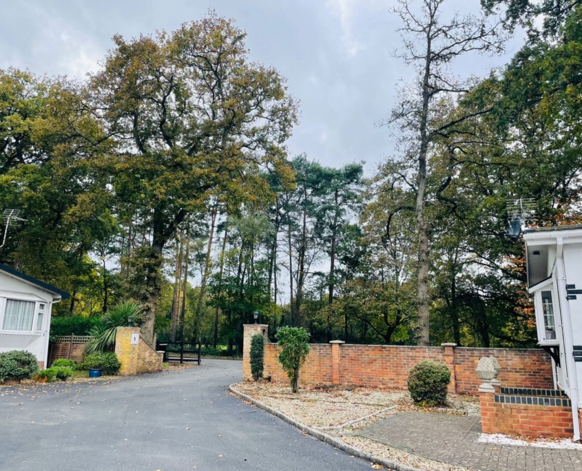 Park homes for sale in Wokingham View Pinewood Park