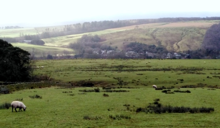 Our Park in it's rural setting