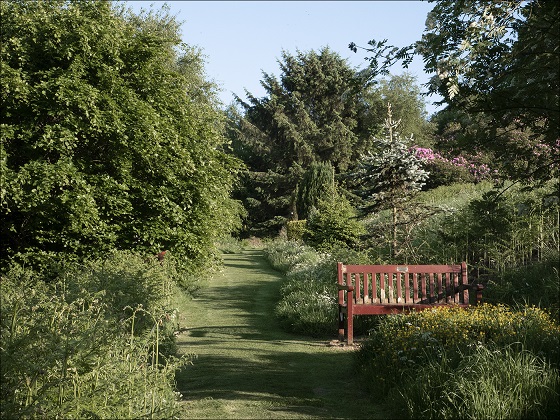 path to the pond area