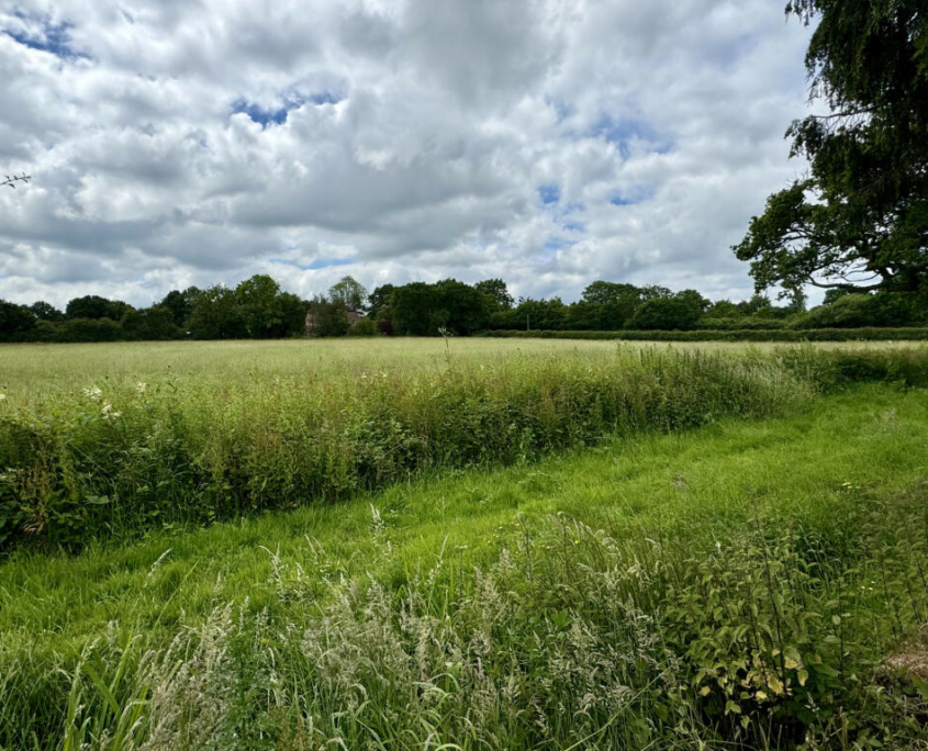 Park homes for sale in Edenbridge View St Brelades Park