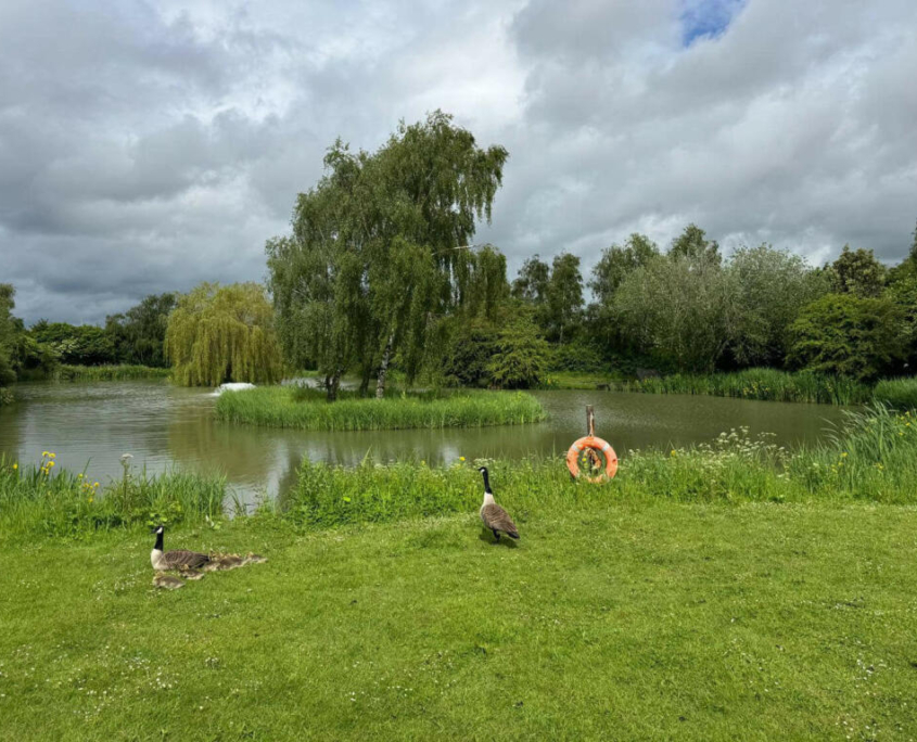 Park homes for sale in Grantham | View Lakeside Retreat