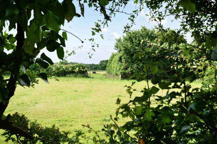 Residential Park Homes for sale at Manor Farm Court, Wareham, Dorset