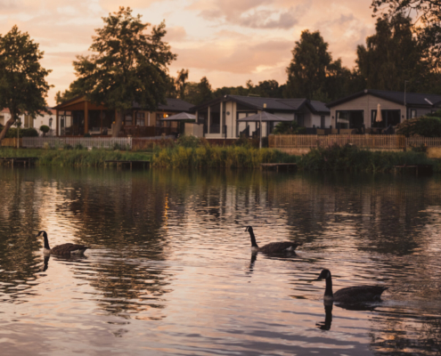 Residential Park Homes for sale at Overstone Lakes, Northampton, Northamptonshire