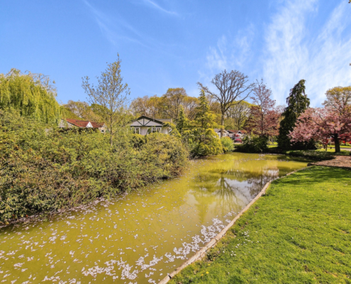 Residential Park Homes for sale at Deanland Wood, Hailsham, Sussex