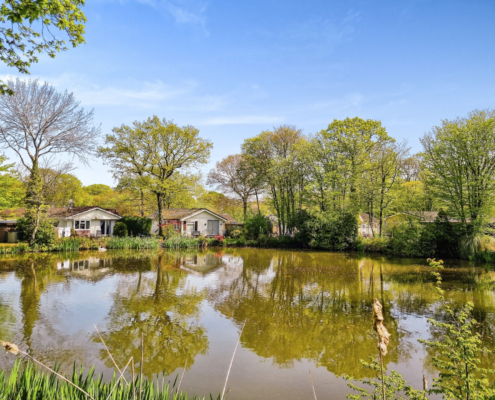 Residential Park Homes for sale at Deanland Wood, Hailsham, Sussex