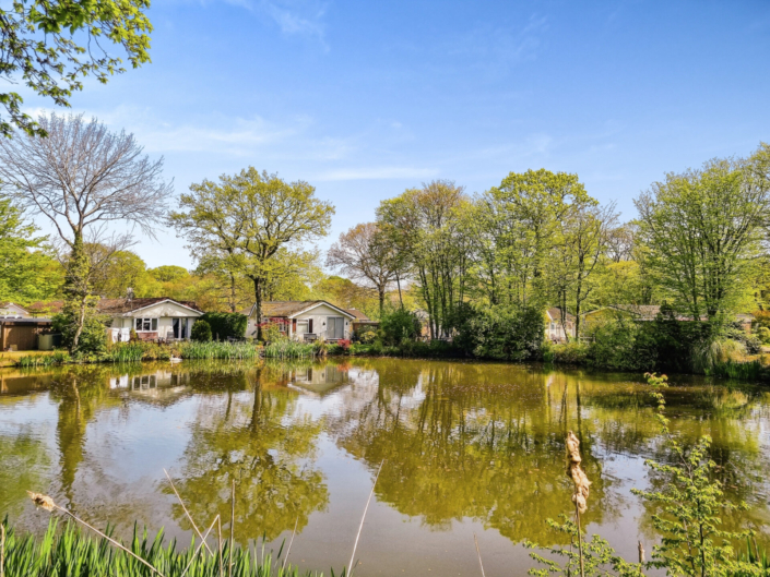 Deanland Wood Park Homes for sale in Hailsham Residential Park Homes for sale at Deanland Wood, Hailsham, Sussex