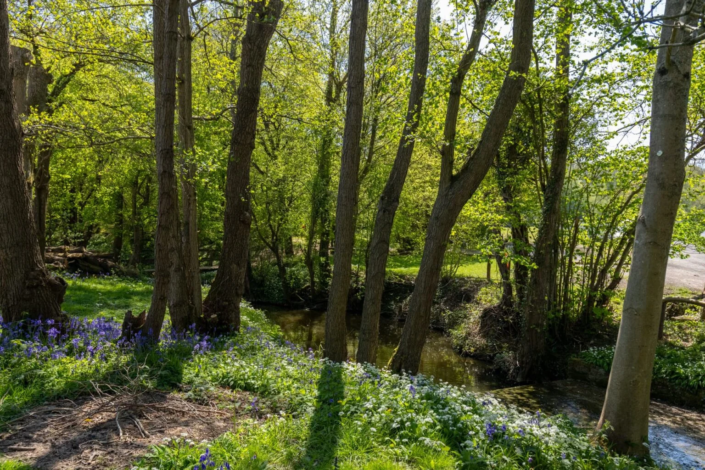Henfold Lakes Residential Park Homes near Dorking Residential Park Homes for sale at Henfold Lakes, Dorking, Surrey