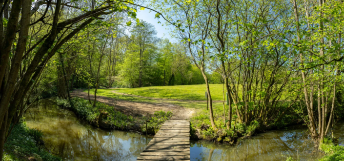 Henfold Lakes Residential Park Homes near Dorking Residential Park Homes for sale at Henfold Lakes, Dorking, Surrey