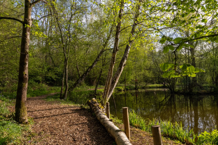 Henfold Lakes Residential Park Homes near Dorking Residential Park Homes for sale at Henfold Lakes, Dorking, Surrey