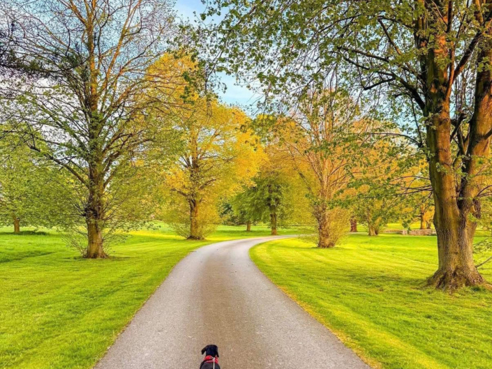 Vale Of York Country Park Homes near Strensall Residential Park Homes for sale at Vale Of York Country Park, Strensall, Yorkshire